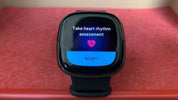 Cardiogram Comes to Fitbit Devices