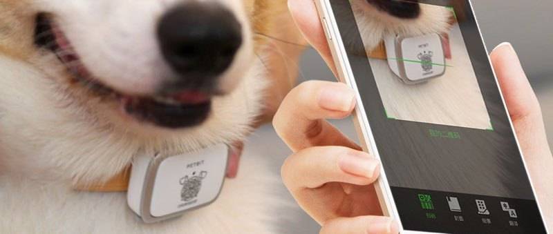 PetBit - A tracker for keeping a watch on your pet.