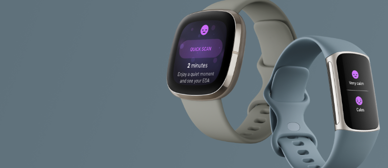 The Fitbit stress score explains how to measure and manage stress.