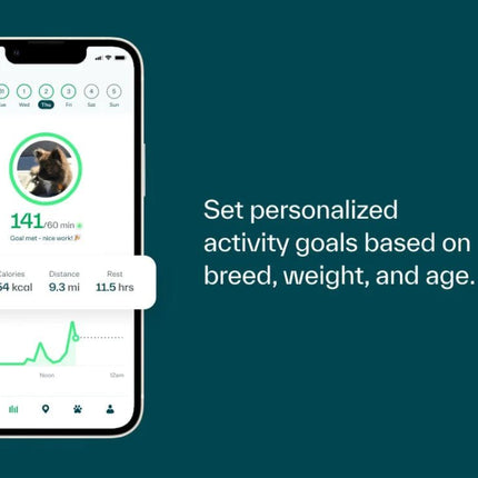 Whistle FIT Pet Health Tracker & Activity Monitor